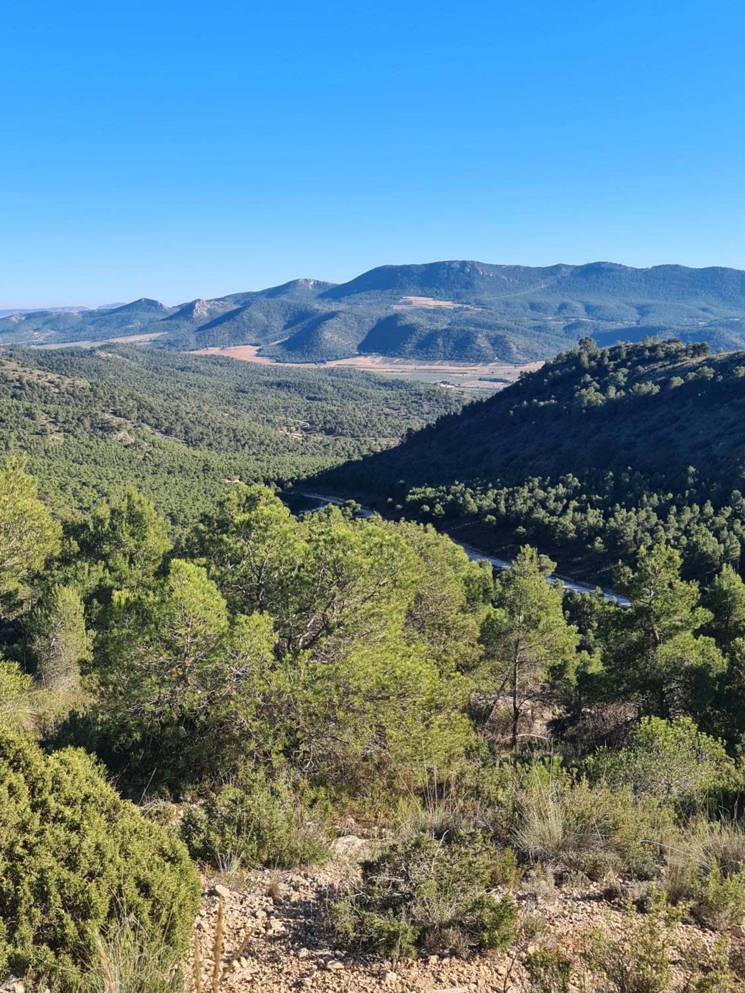 Apartamento Sierra Del Fraile Биар Екстериор снимка